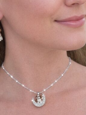 Bradford Exchange Dog Lover Jewelry Set – SilverNecklace & Earrings – New in Box